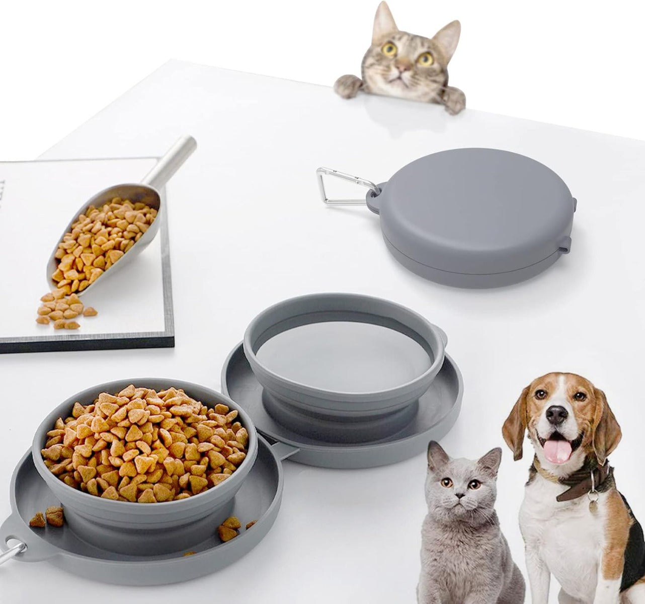 Ciotola Doppia Pieghevole per Cani e Gatti – Portatile da Viaggio per Cibo e Acqua