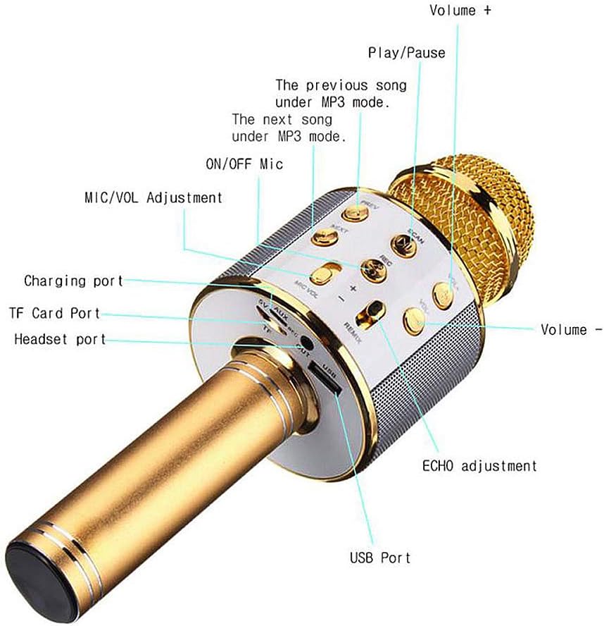Microfono Karaoke Wireless con Altoparlante Integrato – Bluetooth, Registrazione, Effetto Eco, Multifunzione