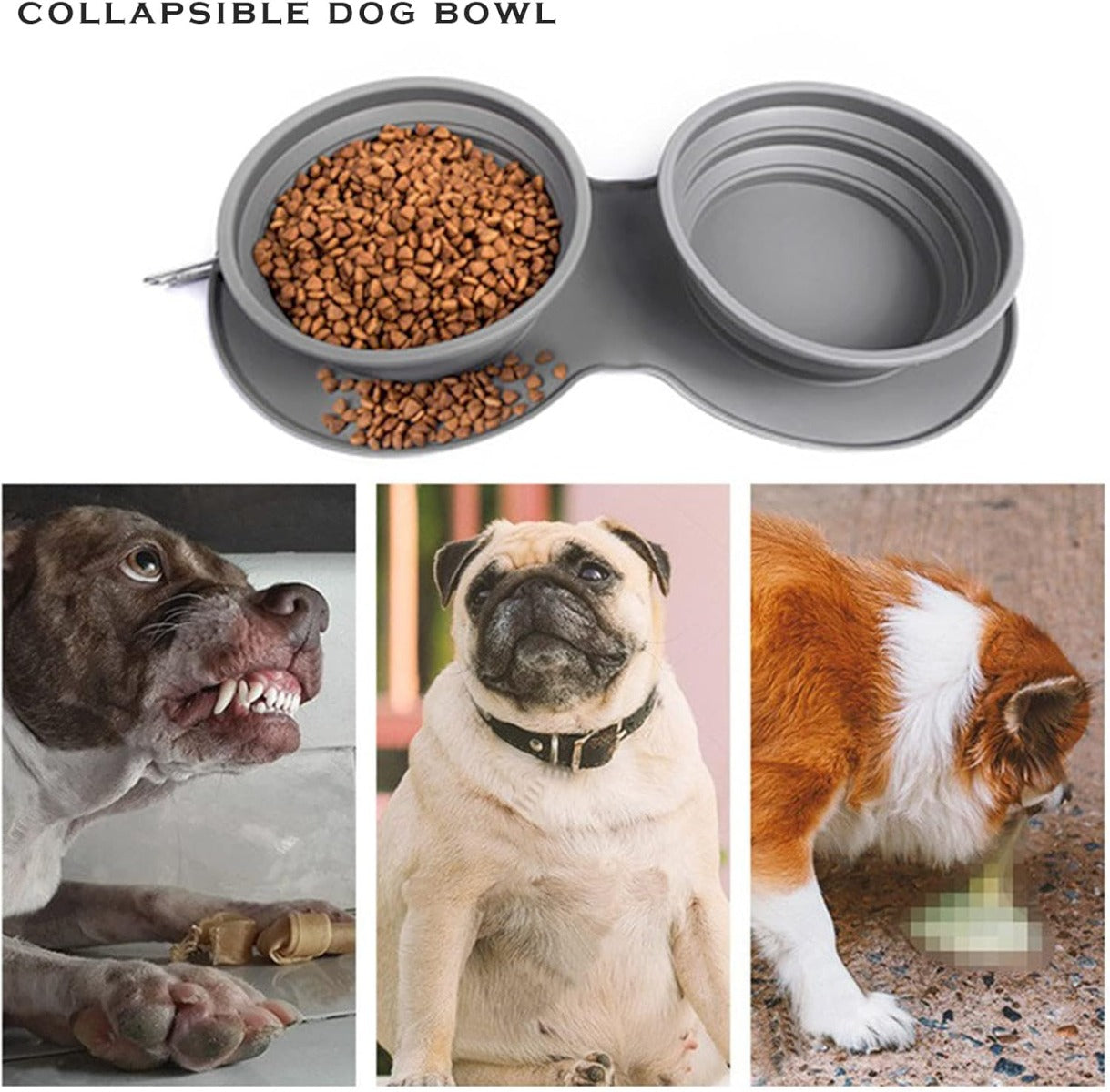 Ciotola Doppia Pieghevole per Cani e Gatti – Portatile da Viaggio per Cibo e Acqua