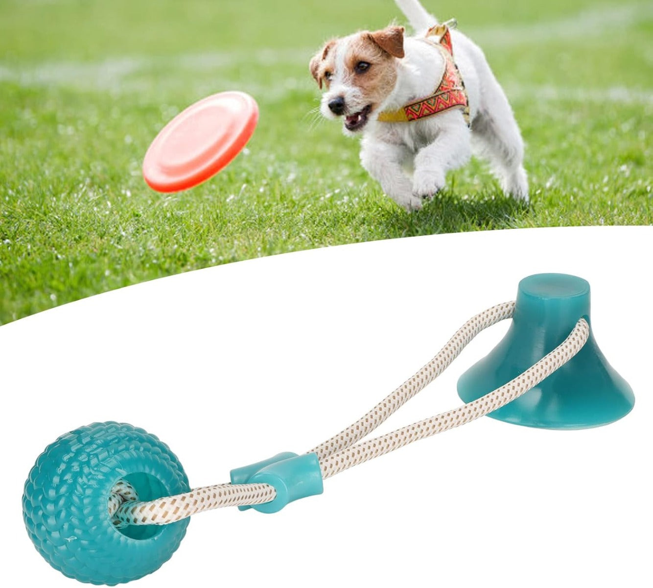 Giocattolo Interattivo da Tiro per Cani con Ventosa – Antinoia, Pulizia dei Denti, Morbido e Resistente