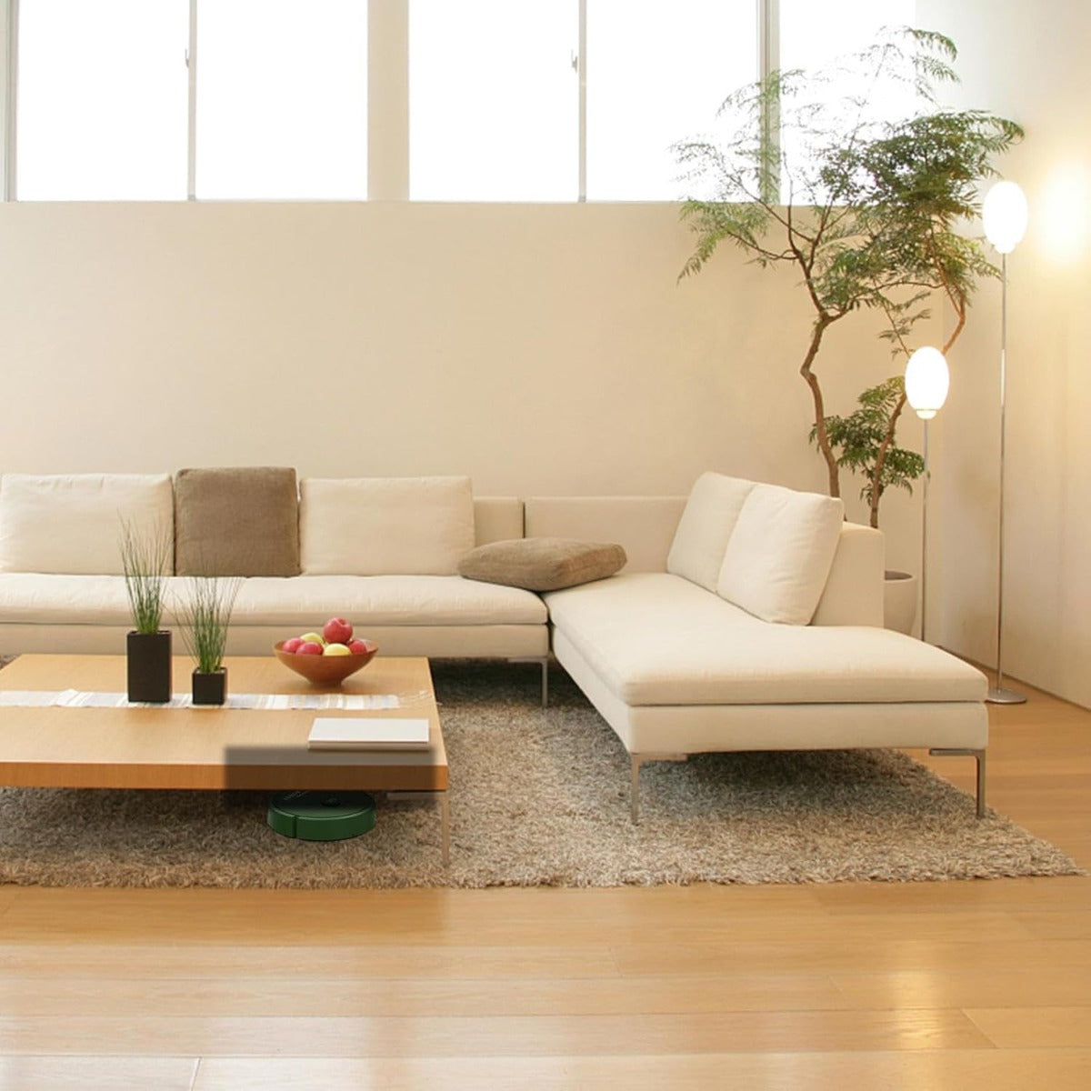 Robot Aspirapolvere DYOG con Funzioni Intelligenti - Pulizia Automatica e Programmabile